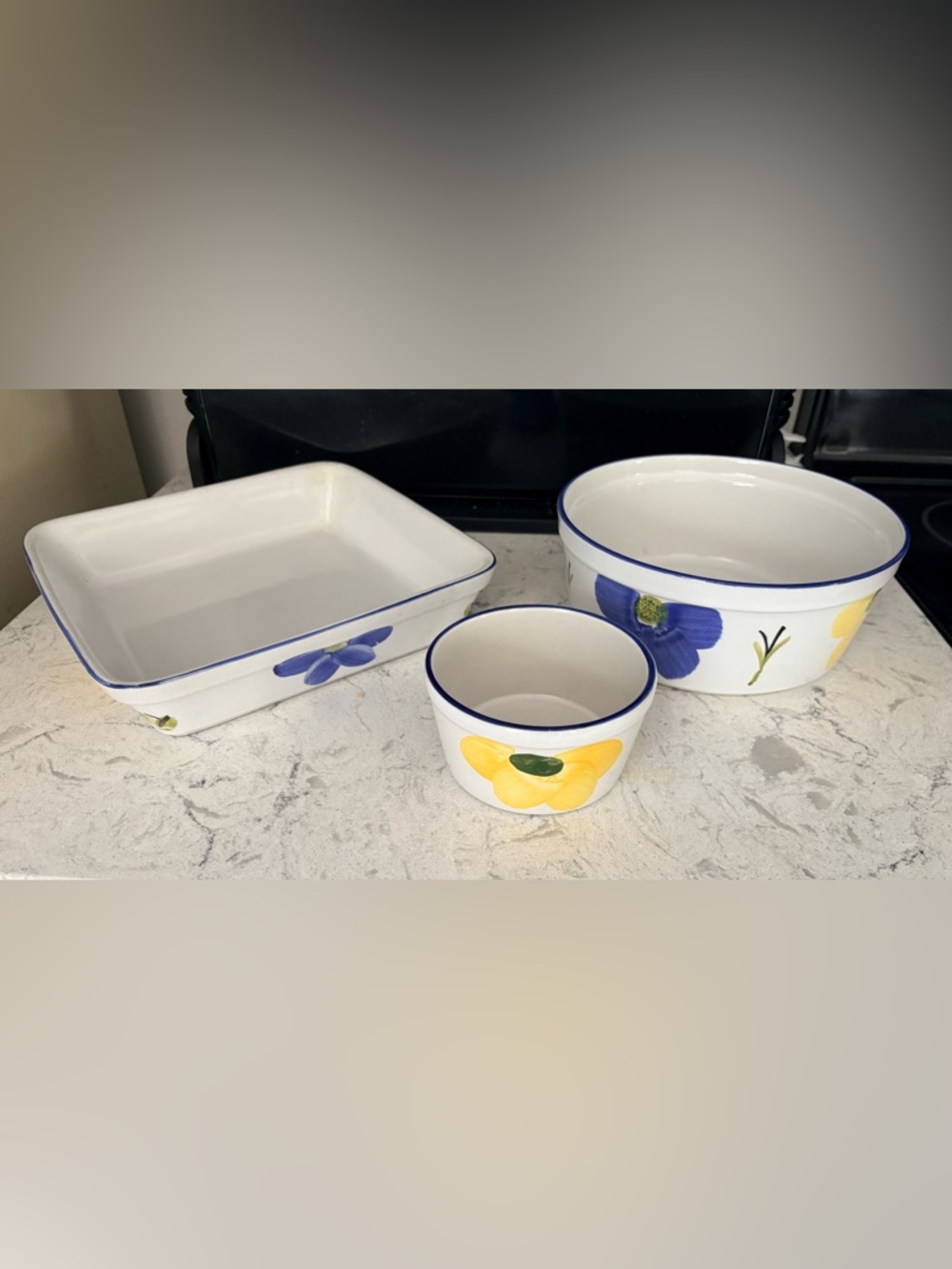 Maxam of Portugal Hand-Painted Floral Ceramic Set of bakeware